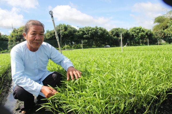 nên gieo hạt giống vào tháng mấy