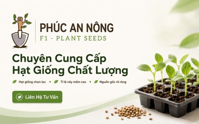 phúc an nông