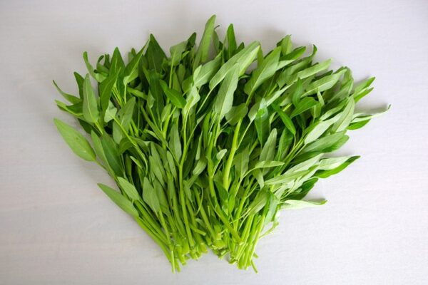 trồng rau muống